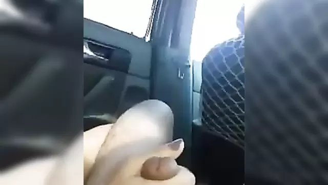 Iranian woman meets her compatriot in a taxi and decides to pay with a blowjob