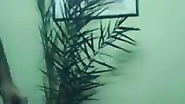 Came to get a job and found herself impaled on the penis of an Iranian emir